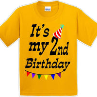 It's my 2nd Birthday Shirt - Youth B-Day T-Shirt - 12 Color Choices - JC