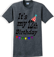 
              It's my 12th Birthday Shirt  - Adult B-Day T-Shirt - JC
            