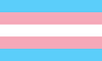 
              TRANSGENDER PRIDE FLAG, STICKER, DECAL, 5 YR VINYL, LGBTQ PRIDE FLAG, TS
            