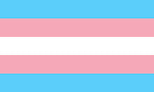 TRANSGENDER PRIDE FLAG, STICKER, DECAL, 5 YR VINYL, LGBTQ PRIDE FLAG, TS