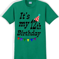 It's my 12th Birthday Shirt  - Adult B-Day T-Shirt - JC