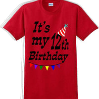 It's my 12th Birthday Shirt  - Adult B-Day T-Shirt - JC