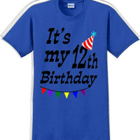 It's my 12th Birthday Shirt  - Adult B-Day T-Shirt - JC