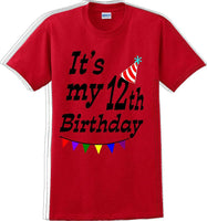 
              It's my 12th Birthday Shirt  - Adult B-Day T-Shirt - JC
            