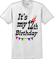 
              It's my 12th Birthday Shirt  - Adult B-Day T-Shirt - JC
            