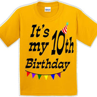It's my 10th Birthday Shirt - Youth B-Day T-Shirt - 12 Color Choices - JC