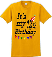 
              It's my 12th Birthday Shirt  - Adult B-Day T-Shirt - JC
            